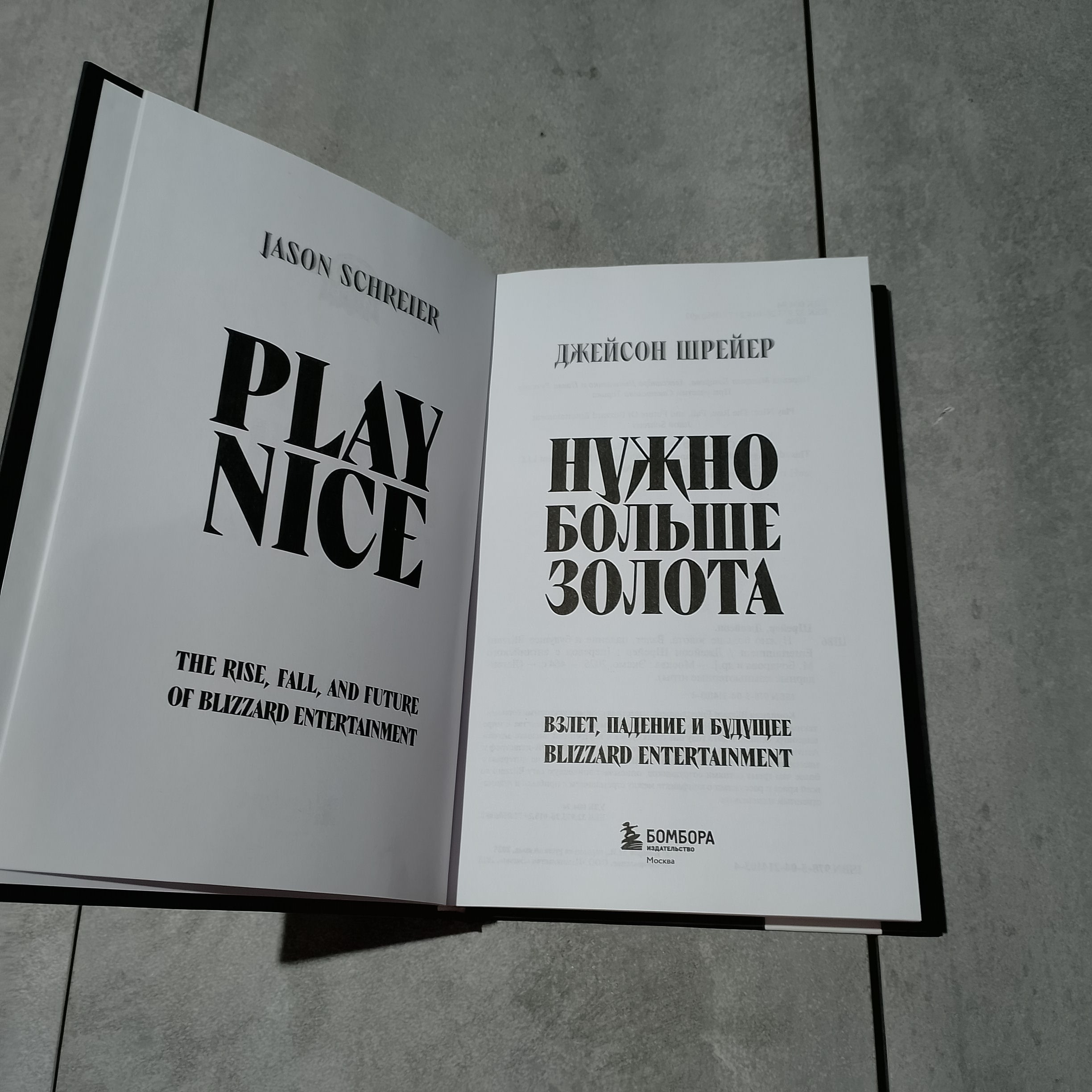 Открытая книга «Play Nice»: титульный лист и английское название.