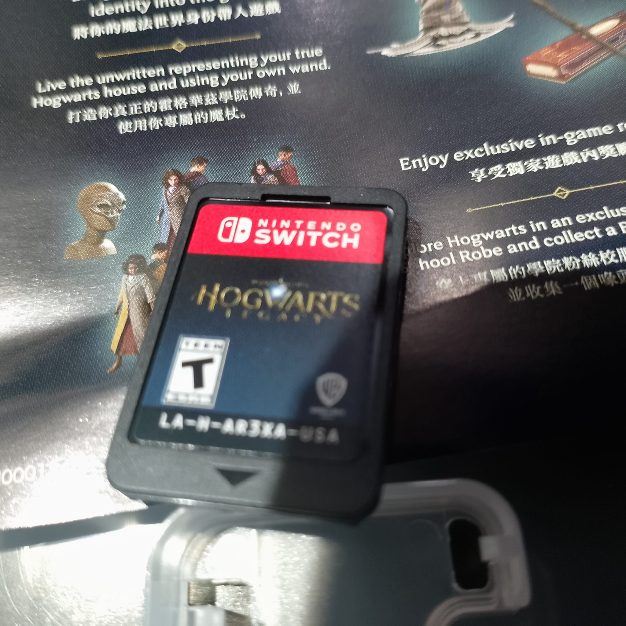 Иллюстрация к материалу: Hogwarts Legacy для Nintendo Switch — китайское издание (CN): что важно знать перед покупкой